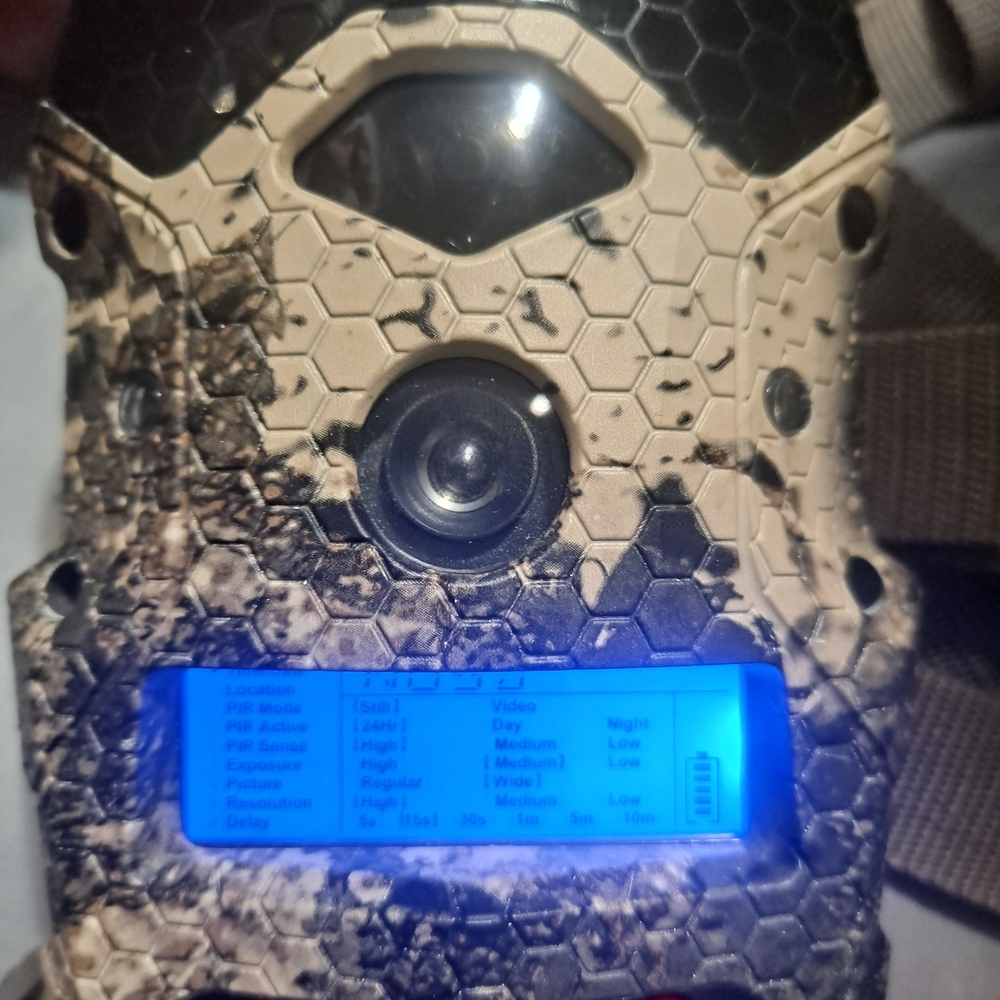 Camouflage Trail Camera with LCD Screen